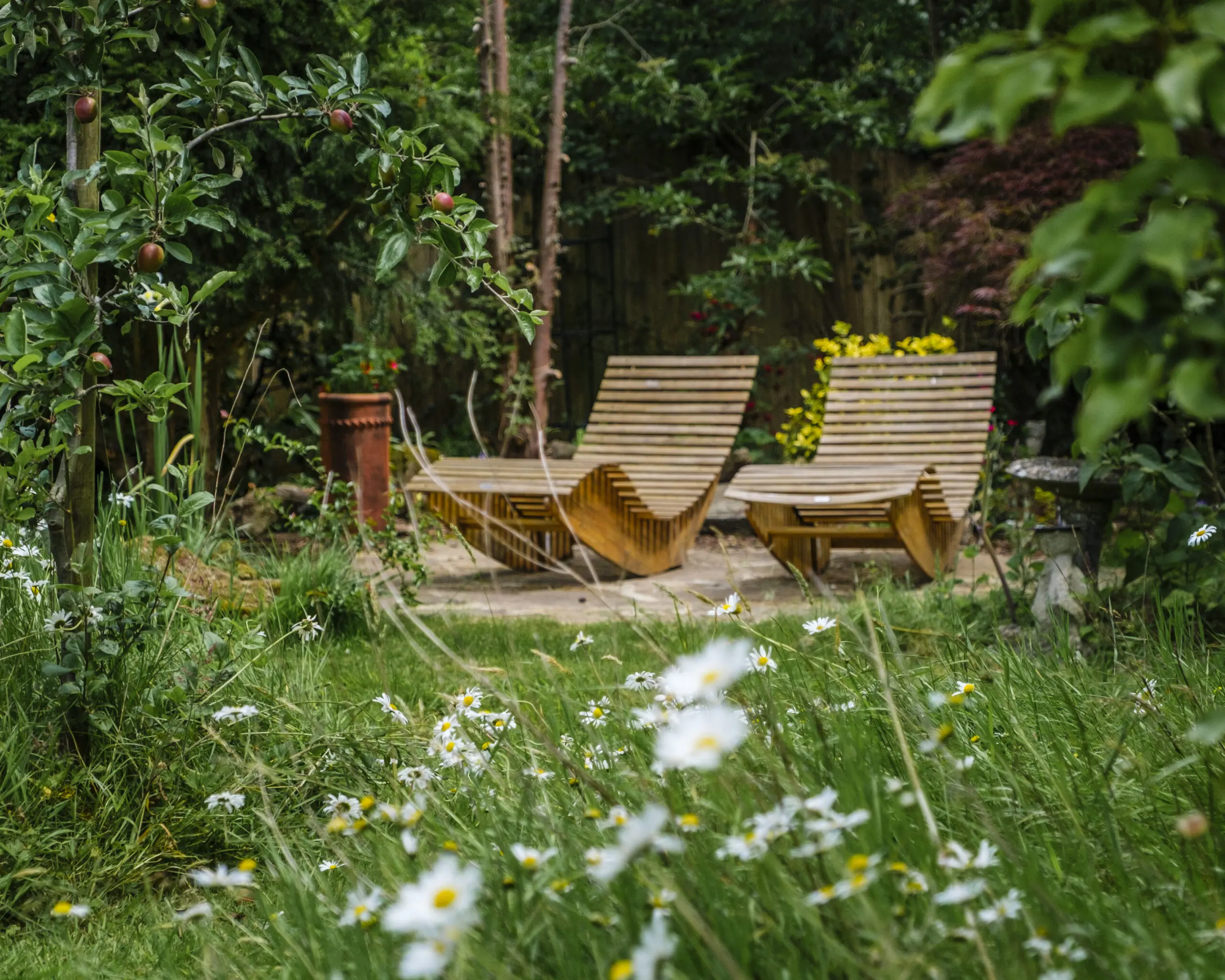 relaxed garden loungers